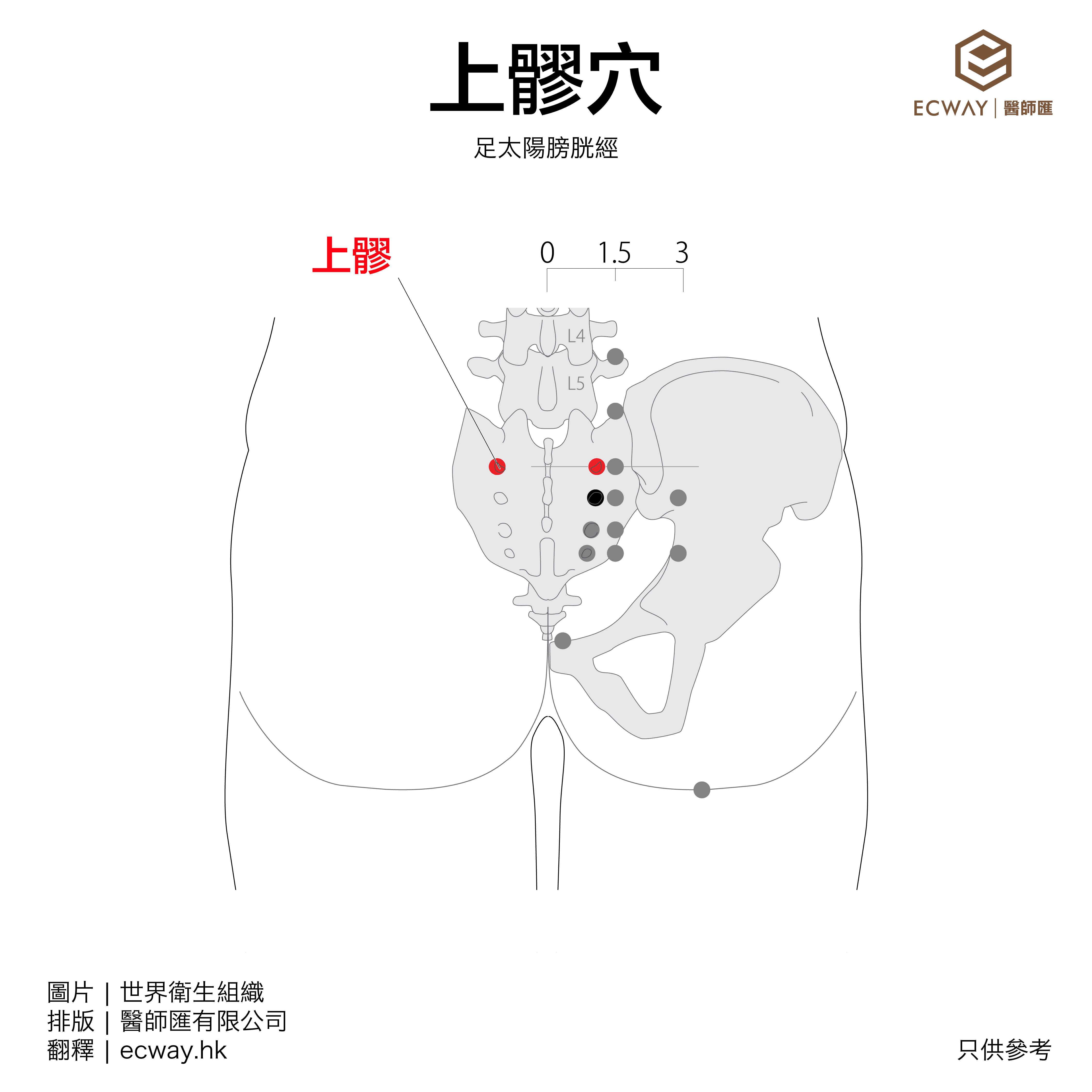 上髎穴