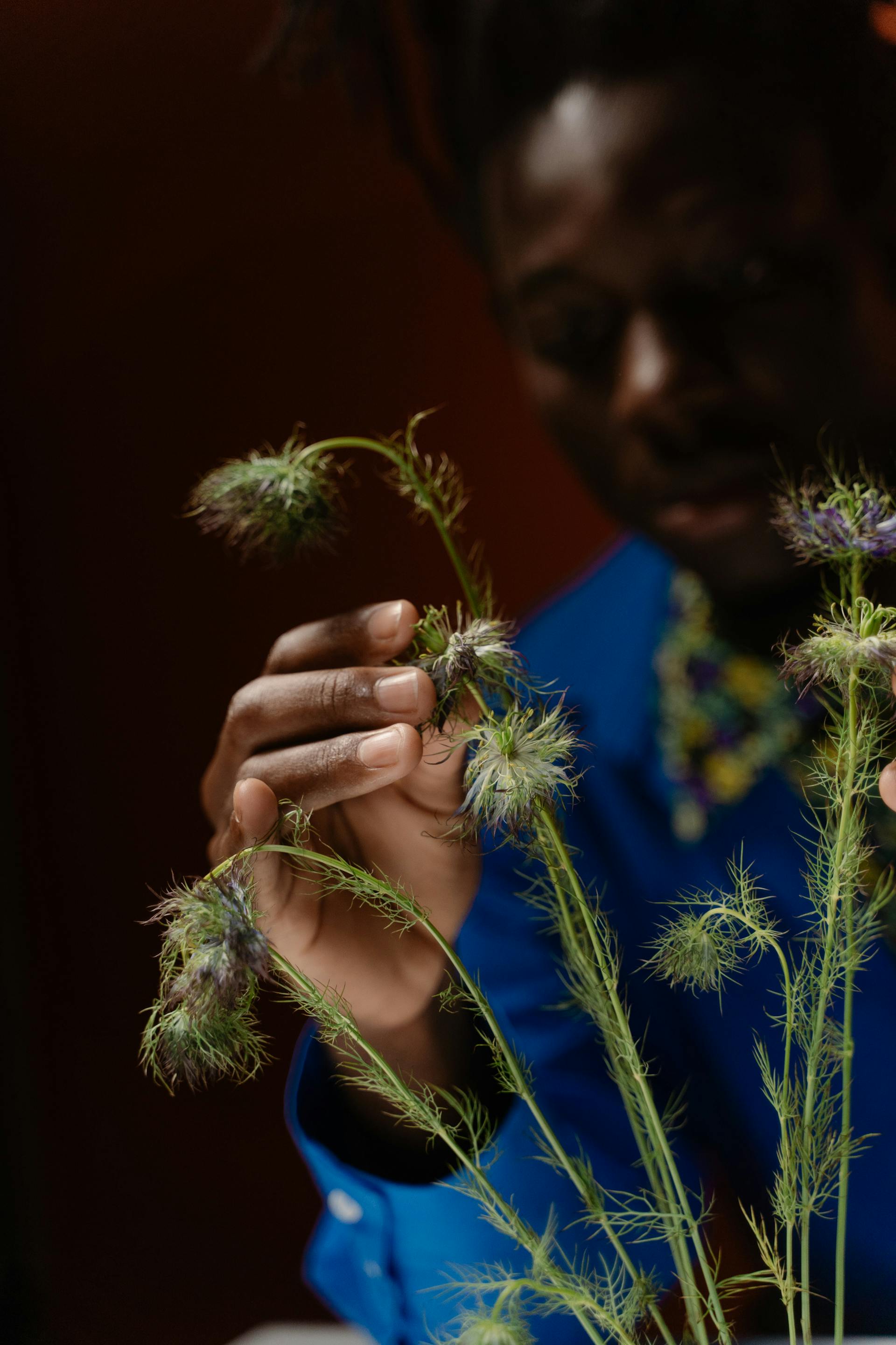 A close-up shot focusing on a person's hands gently touching the fine, feathery leaves and buds of a green plant.