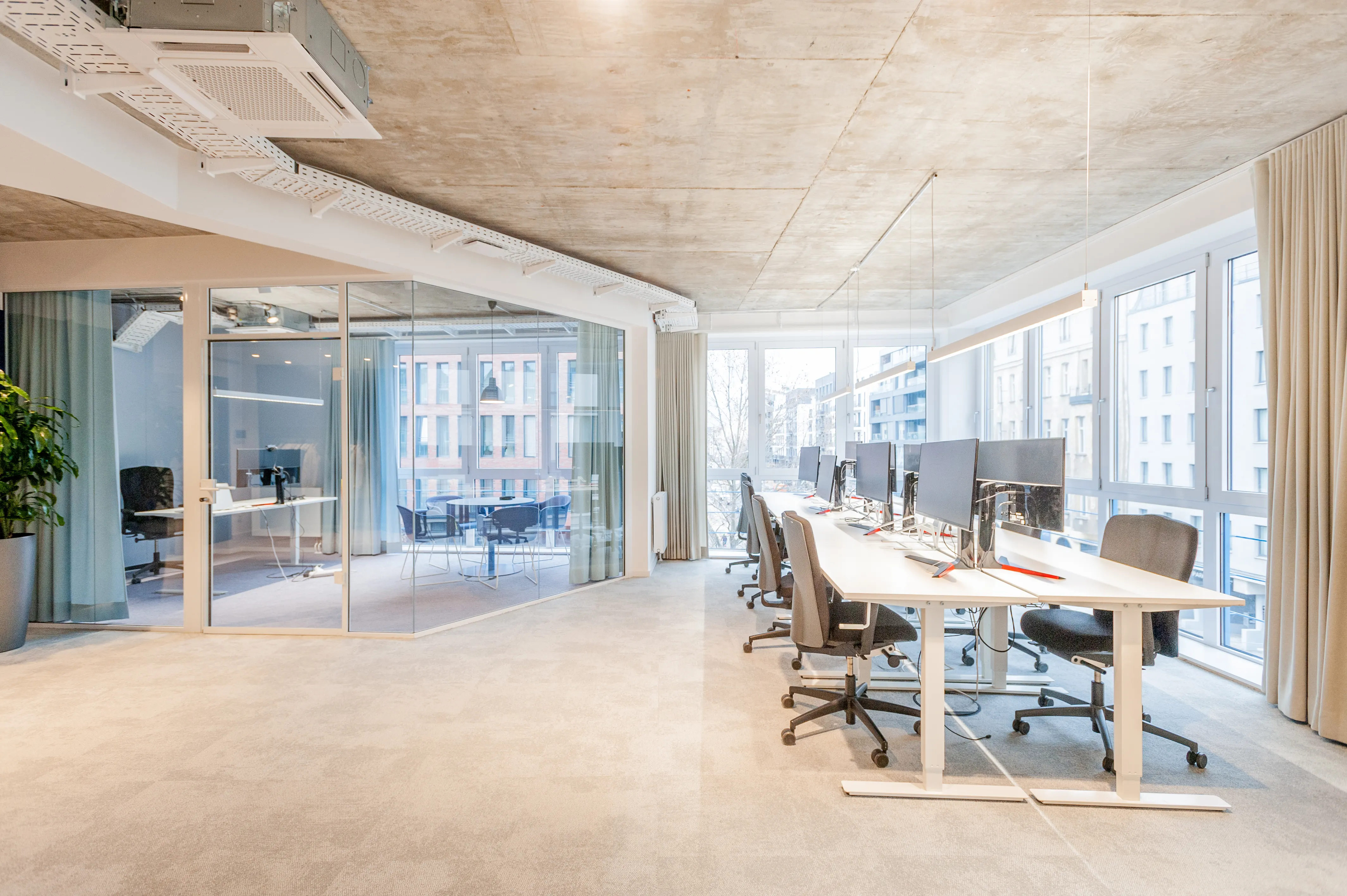 Open-plan office at ZENLOOP with height-adjustable white desks in a row along floor-to-ceiling windows, black office chairs, a glazed corner meeting room and exposed concrete ceiling.