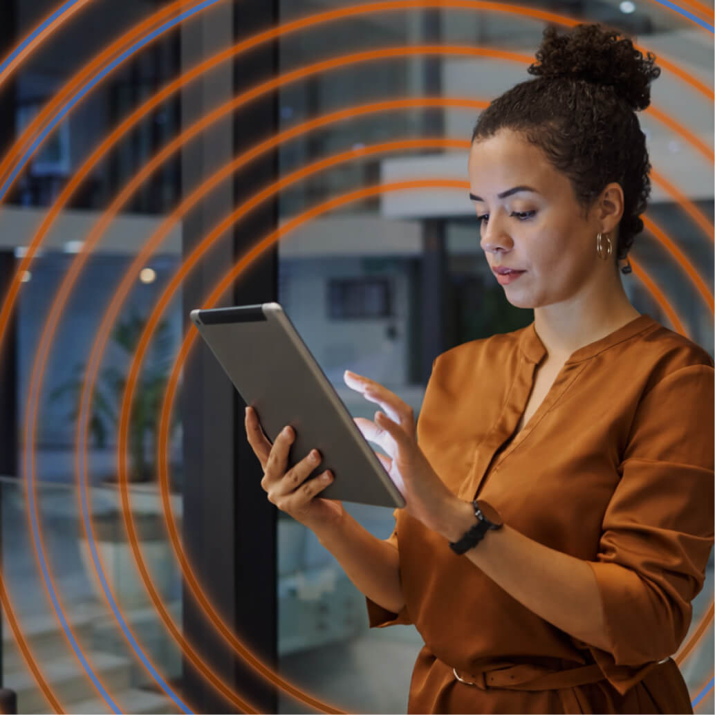 IT Consultant in Los Angeles