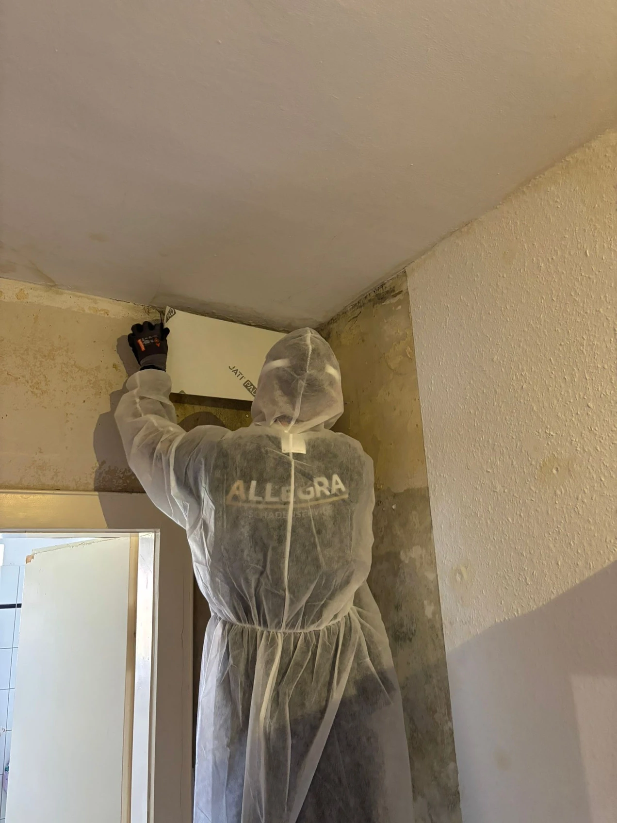 Leckageortung mit Wärmebildkamera an einer feuchten Wand