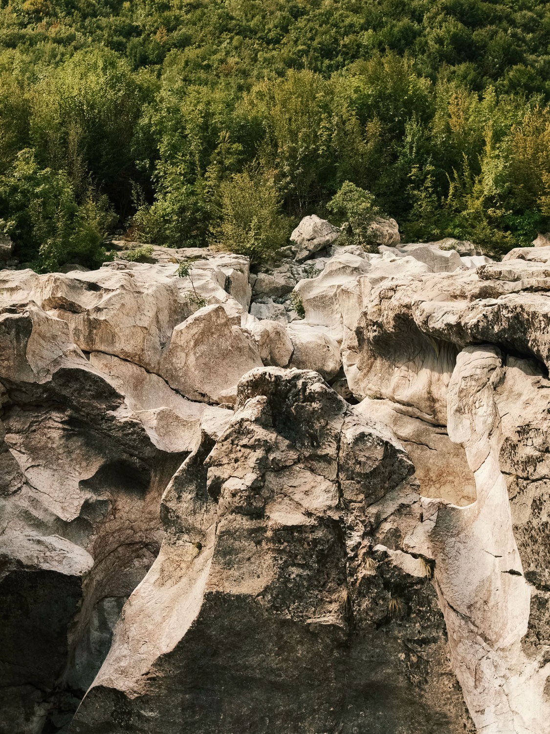 Rock formations and trees