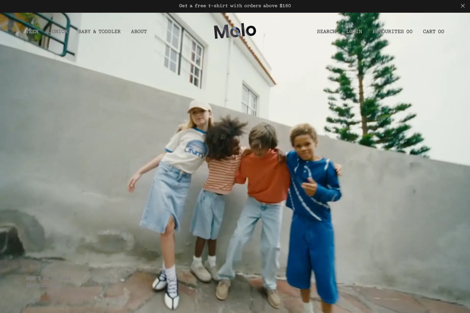 Screenshot of Molo website
