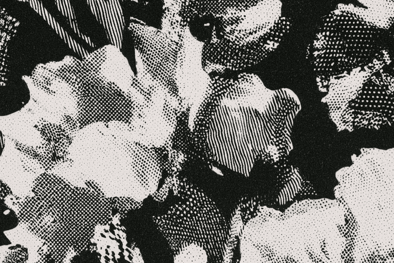 Monochromatic halftone image with roses,  stripes