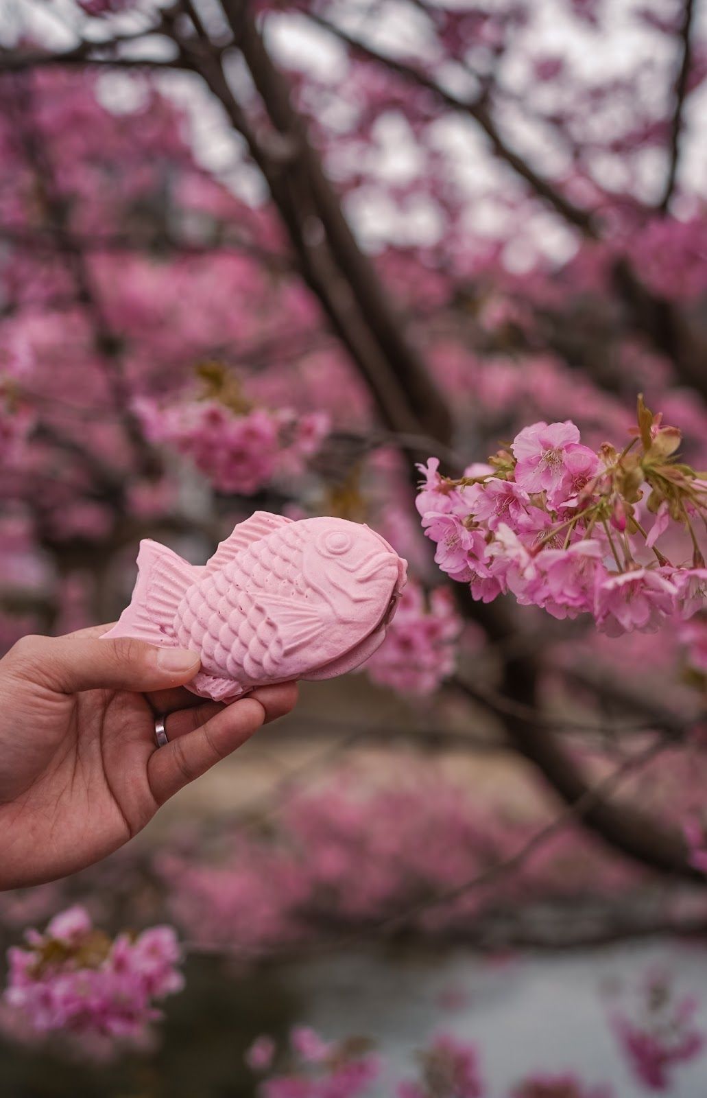 Pink Taiyaki Image
