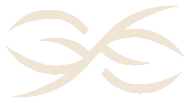 Symbole Fineo, signe infini stylisé en forme de feuille, couleur terracotta