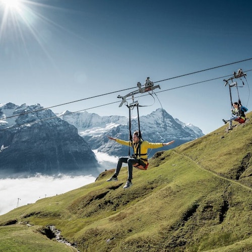 格林德瓦首次：从卢塞恩出发的一日游门票，目的地格林德瓦