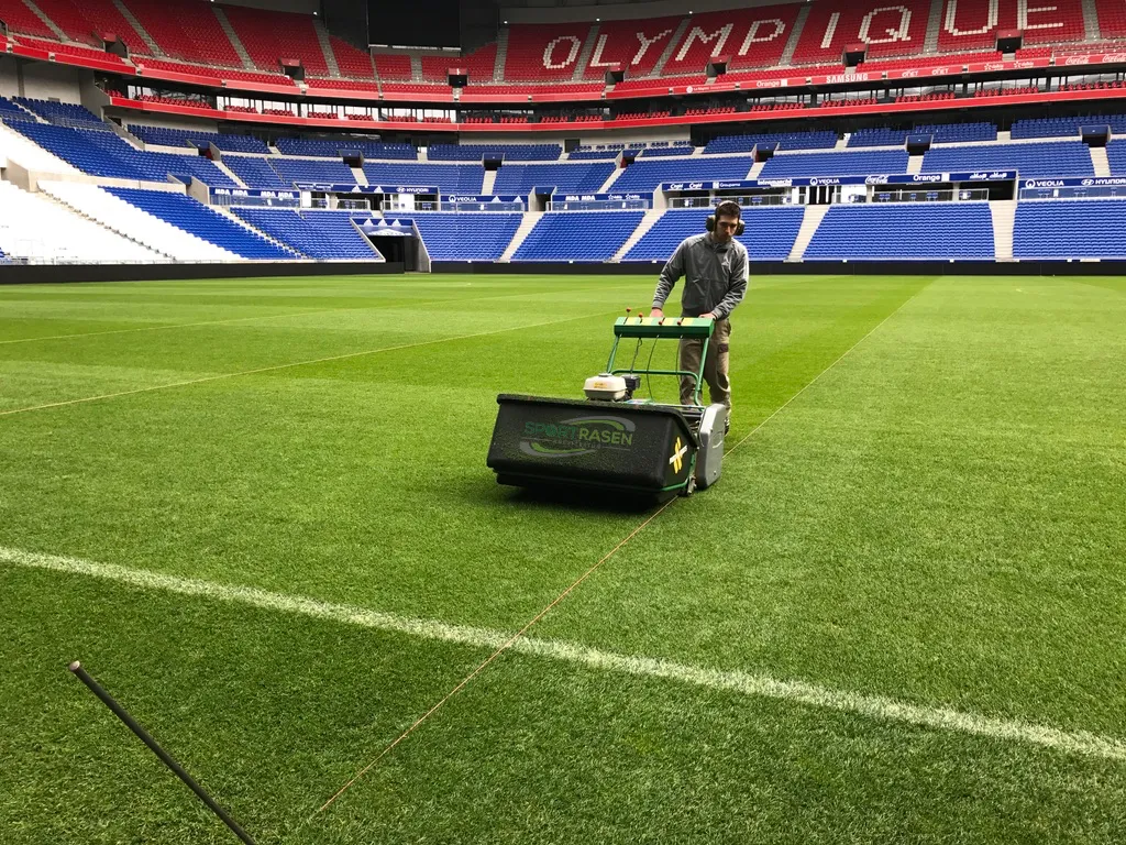 Platz 7: unregelmässiger Rasenschnitt