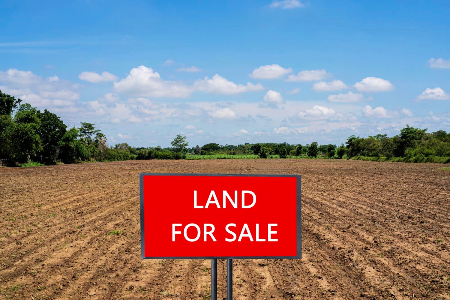 farmland for sale with sign