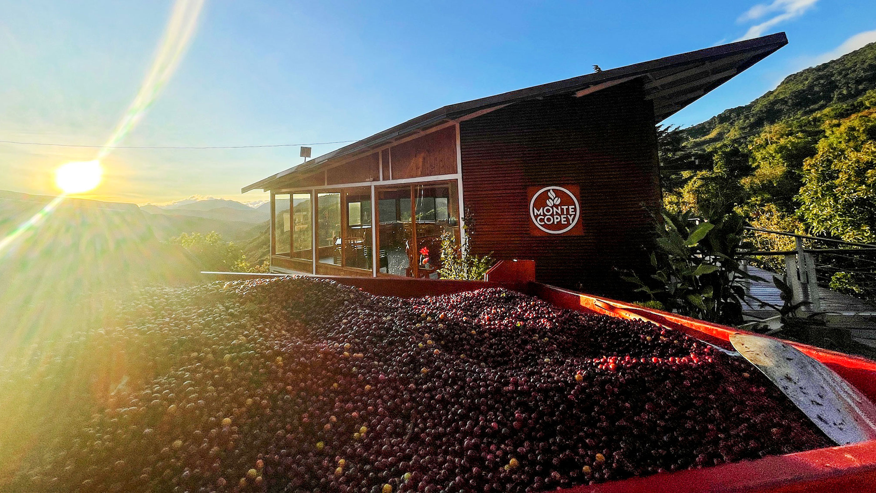 Monte Copey Coffee Farm in Costa Rica