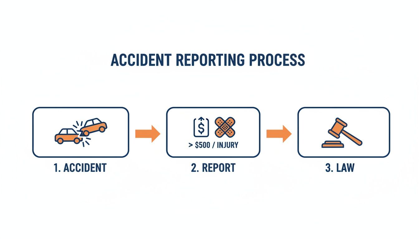 Flowchart outlining the car accident reporting process from collision, to reporting criteria, to legal action.