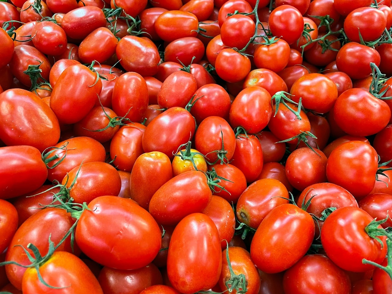 Whole San Marzano plum tomatoes
