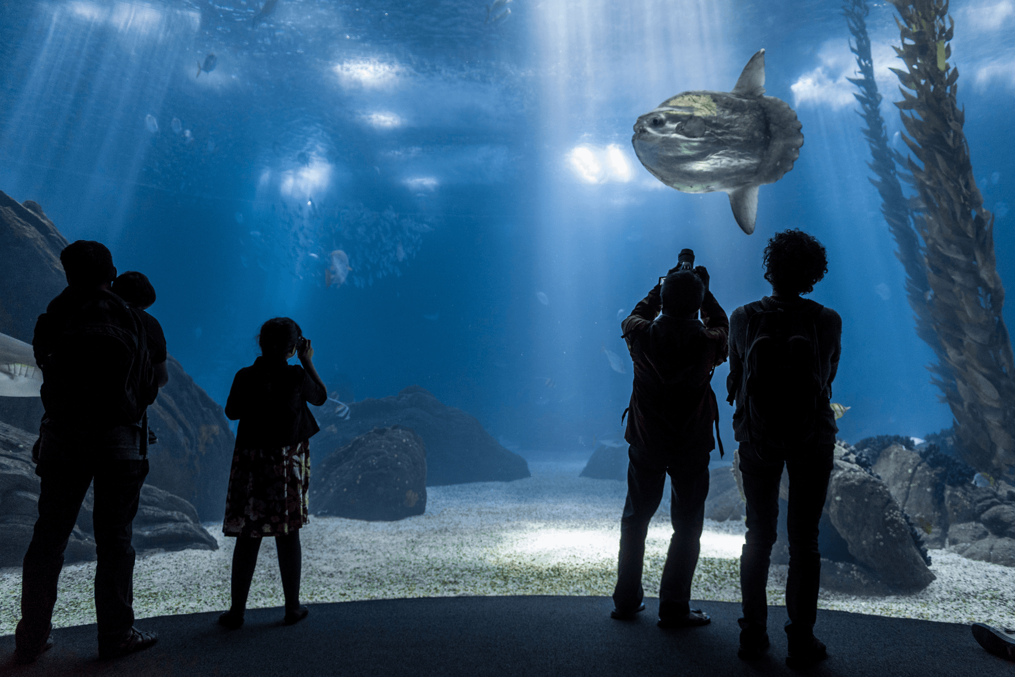Oceanario Lisboa