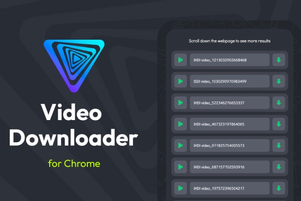 Video Downloader - Toolfolio.io