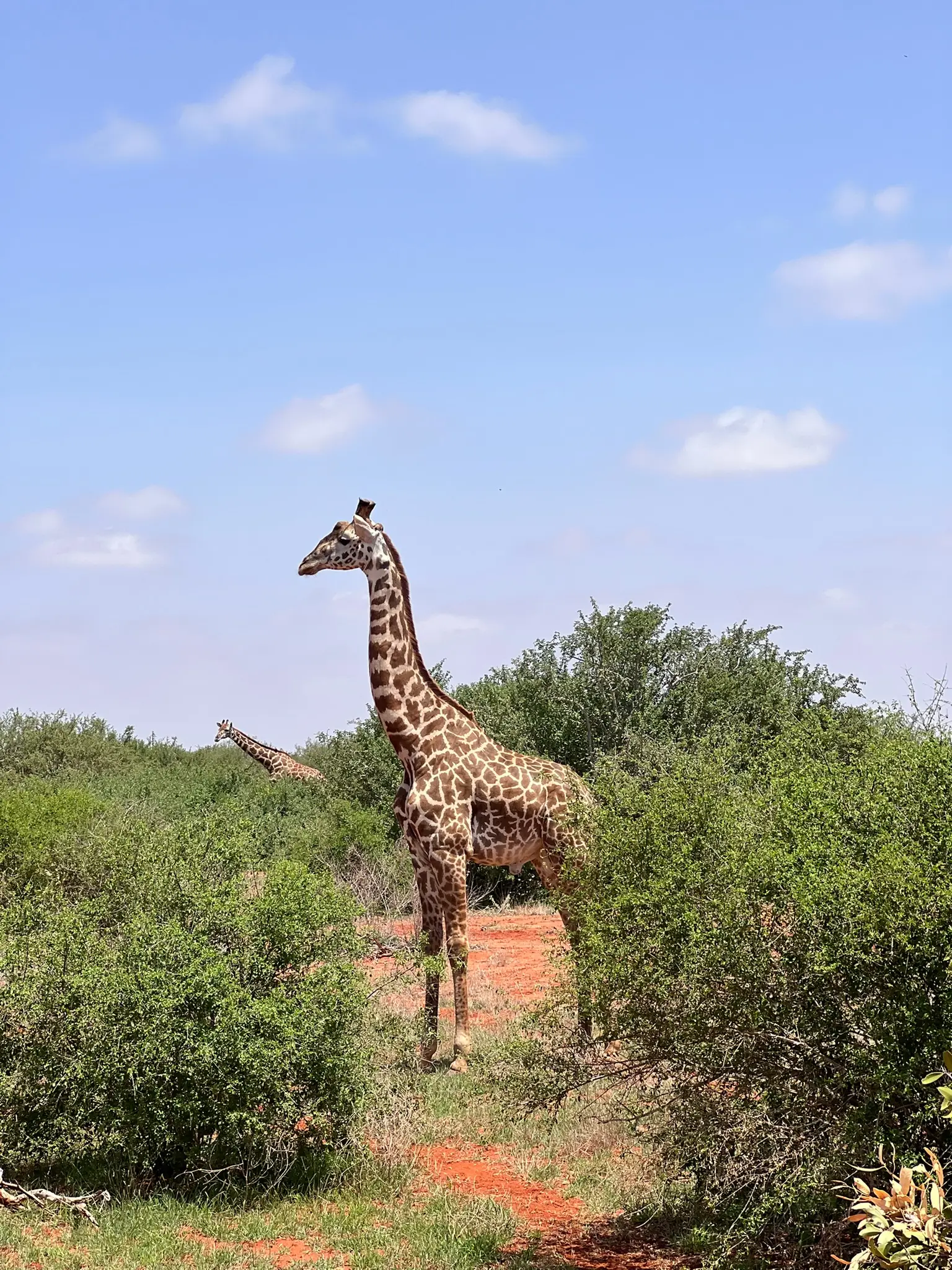 Usahili Tour in Kenya