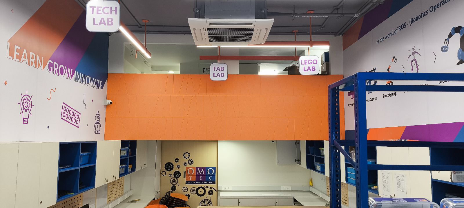 brown starfish on blue sand