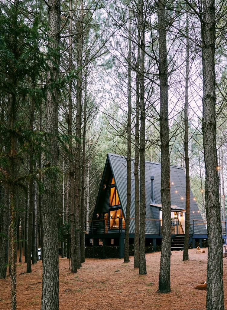 triangle house with trees on sides