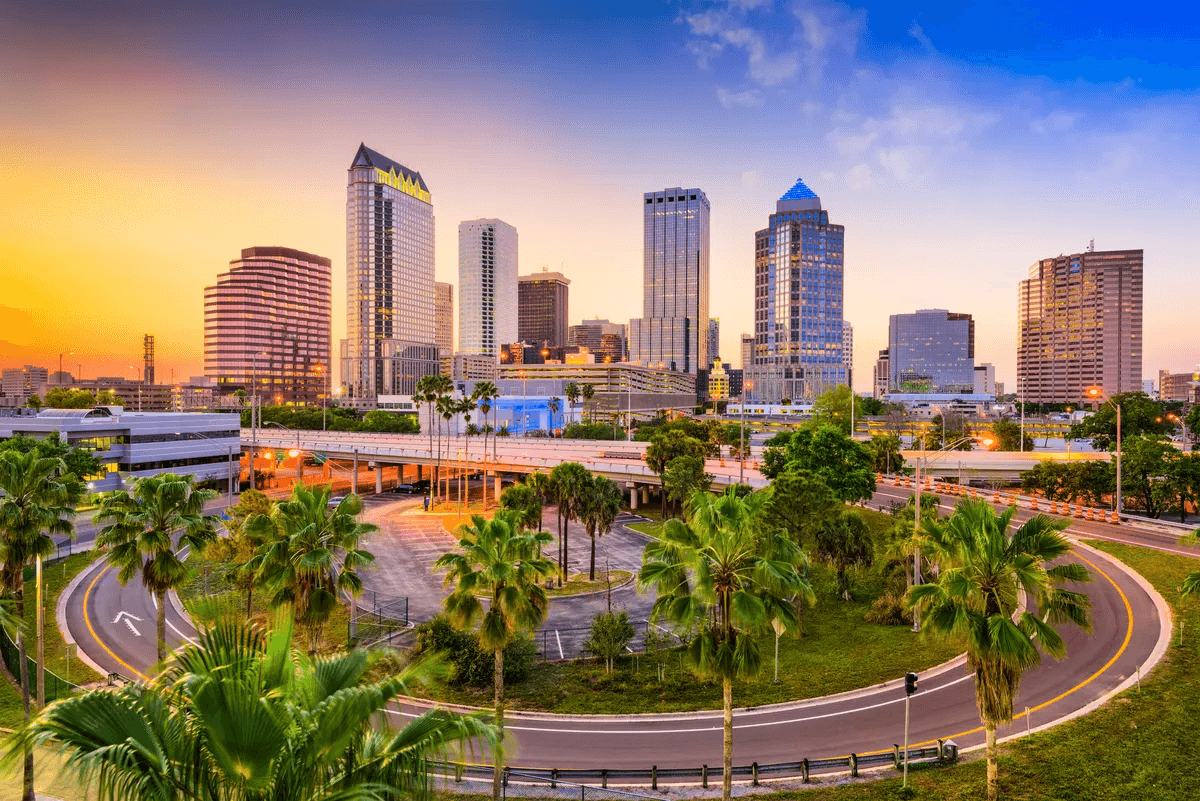 High school student in Tampa conducting original research with a university mentor online