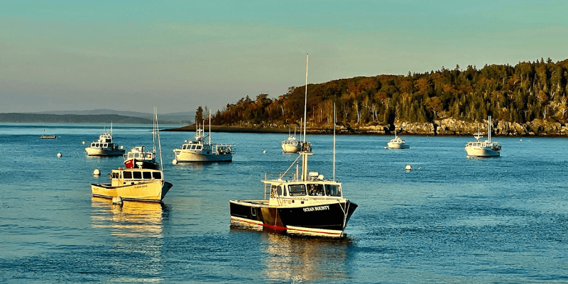 How to Become a Process Server in Maine