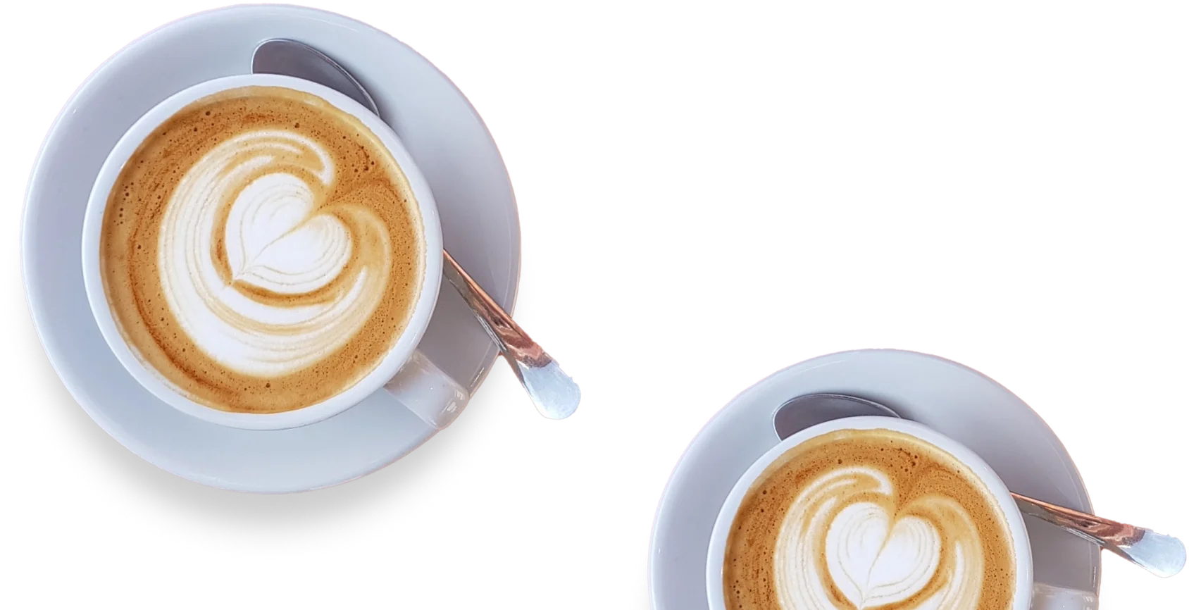 William Murray brand design elements