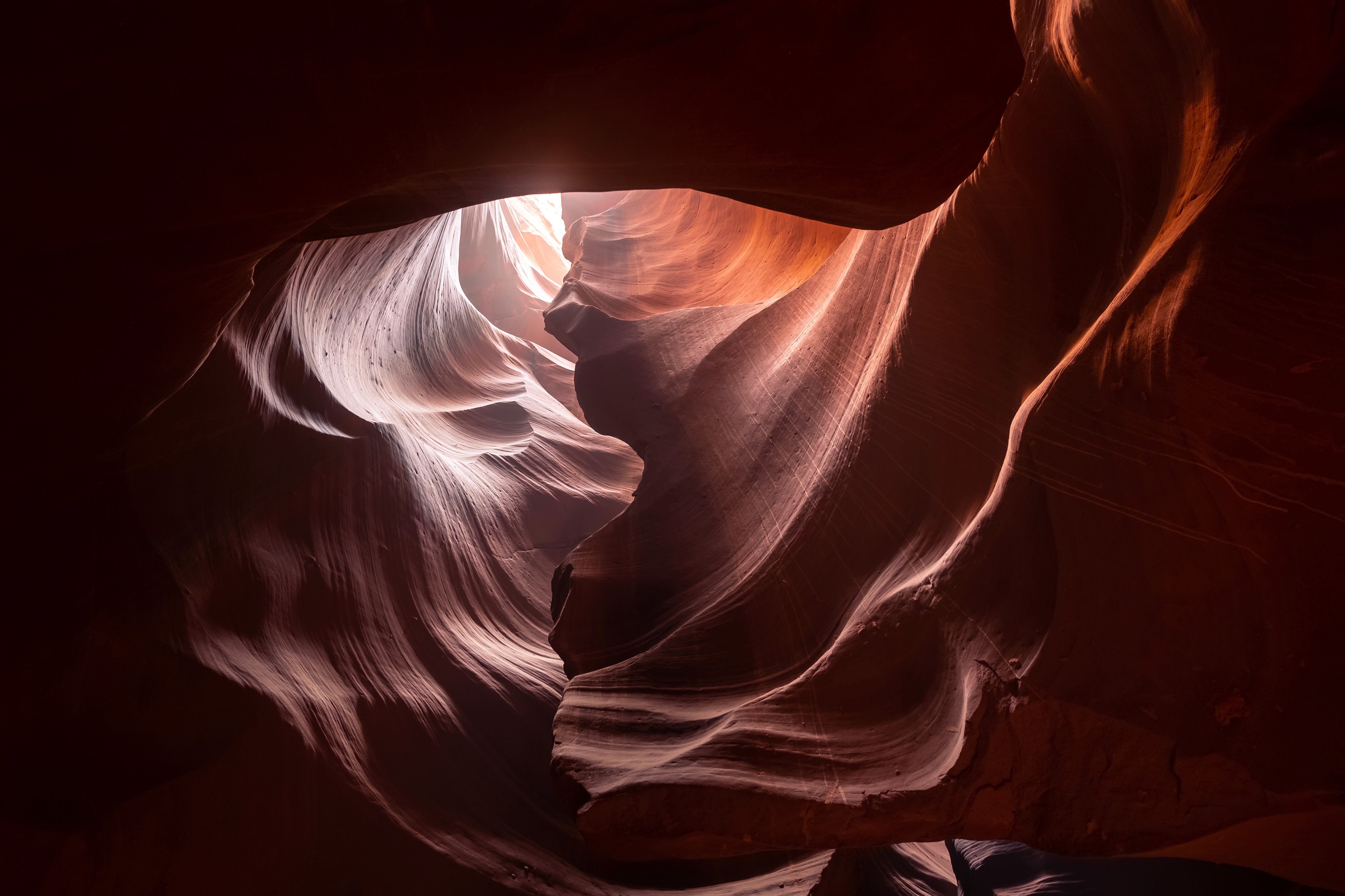 The curving sandstone walls of Antelope Canyon glowing orange and violet where daylight reaches down through the narrow opening overhead.