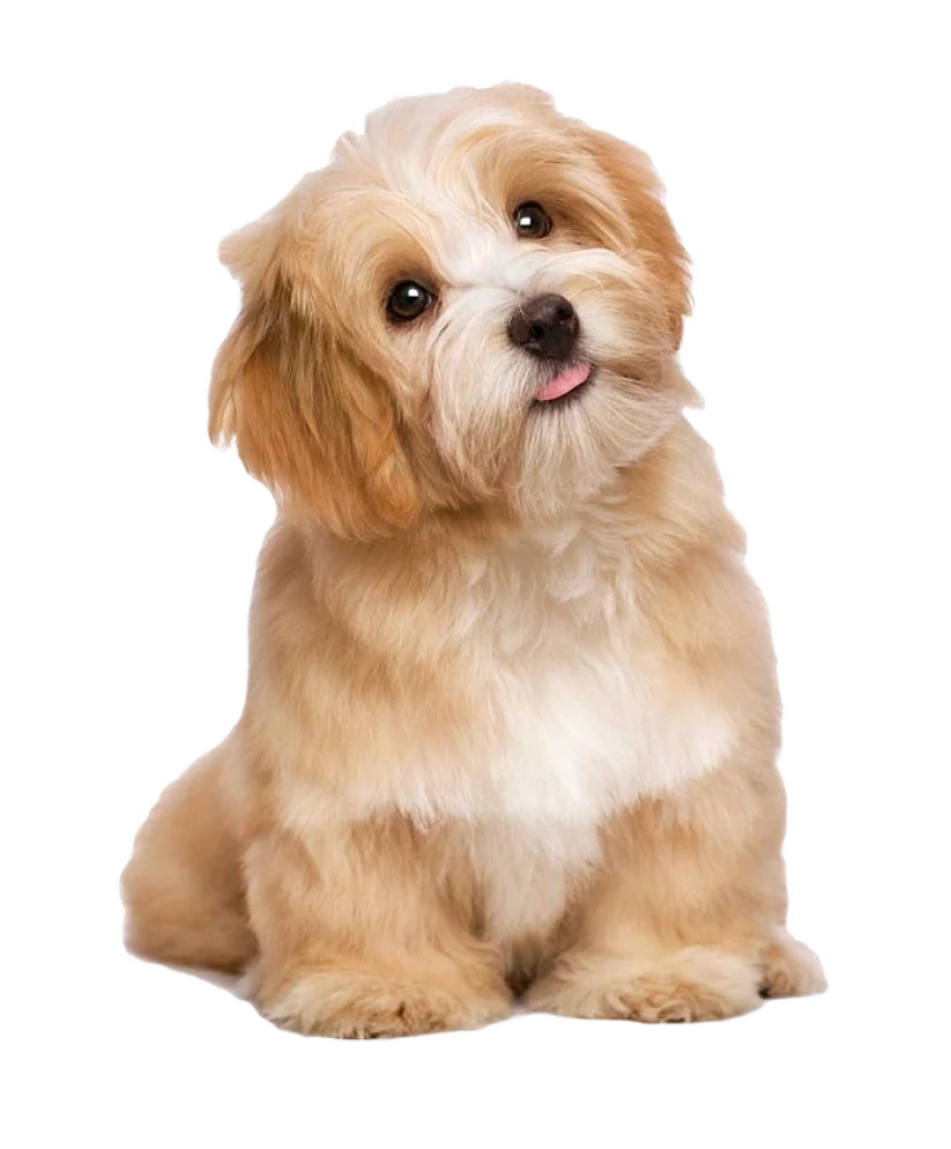 Crie sua conta grátis - Puplin