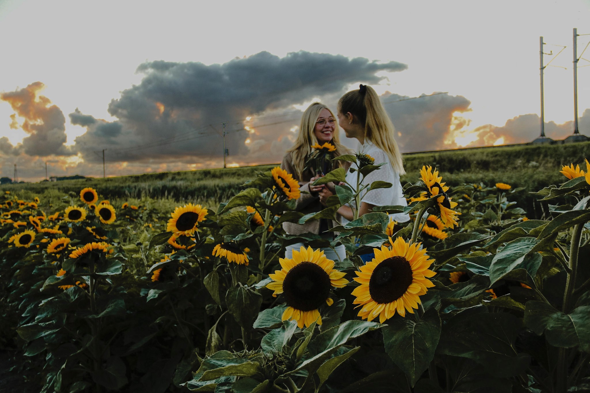 Levende foto van vriendinnen die omringd zijn door zonnebloemen, waarbij hun vreugde en de levendige kleuren van de bloemen worden benadrukt