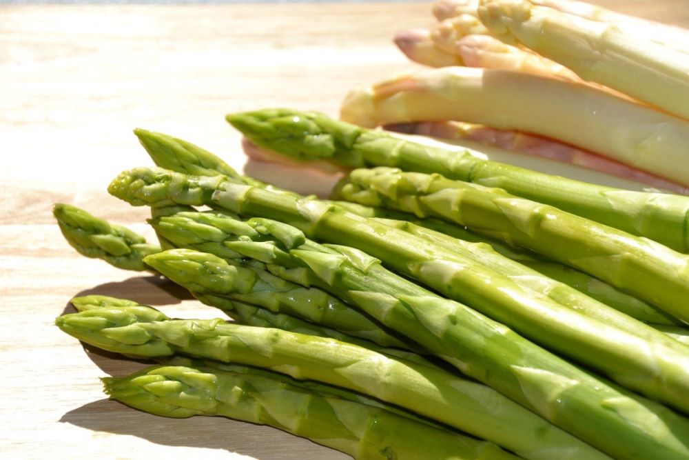 Asparagi verdi e asparagi bianchi