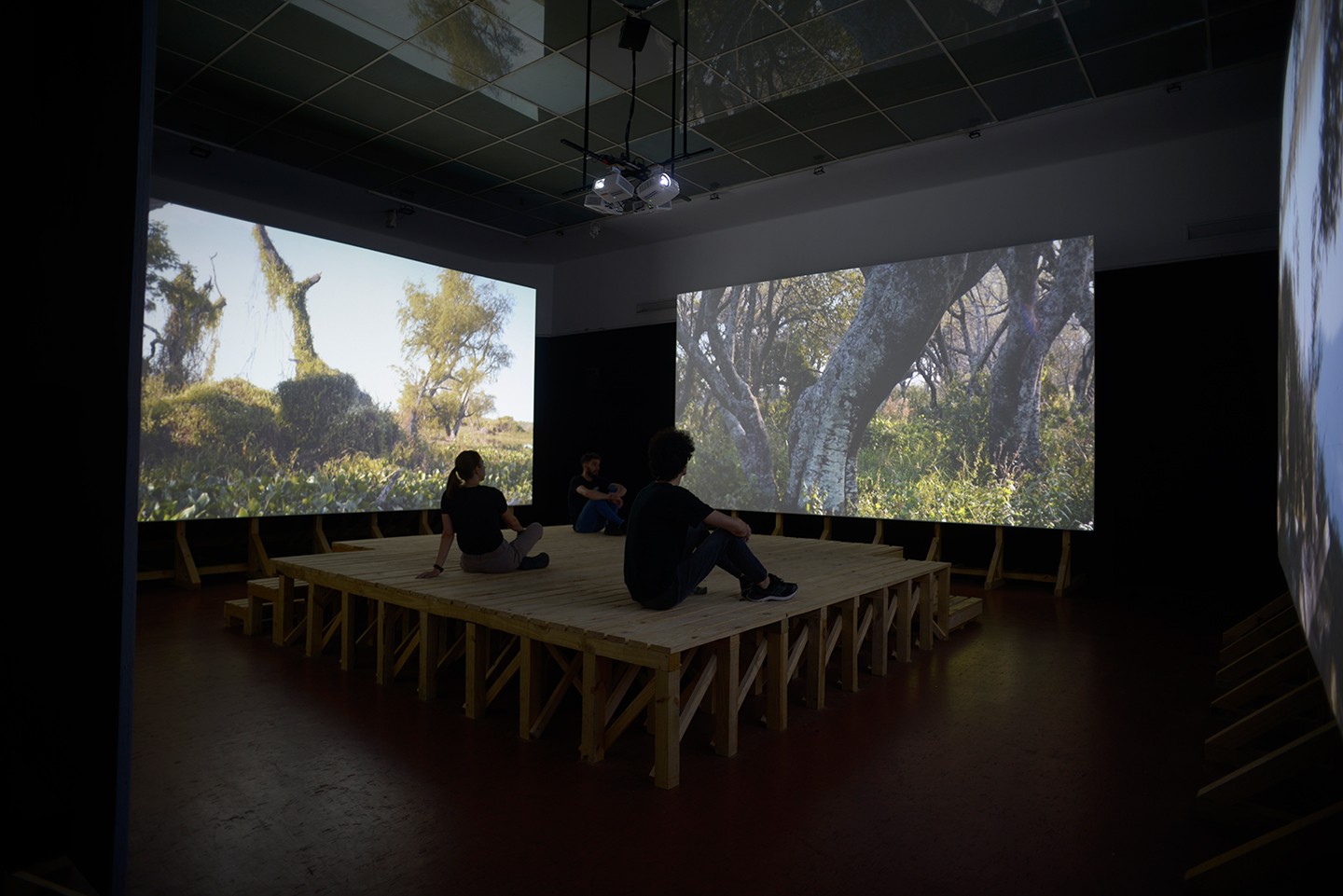 Diego Obligado Galería de Arte - Diego Vergara. Dibujos. Lo numinoso, Examen de conciencia y Los próximos. Pertenecientes al tríptico Estado de situación Grafito sobre papel - 70 x 50 cm. CU - 2024