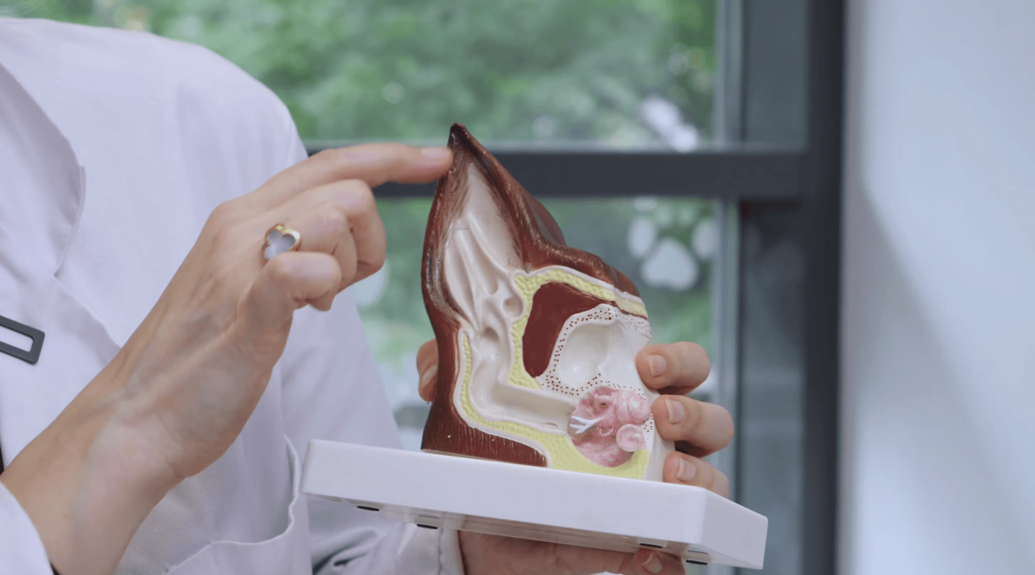 Two men in dress shirts stand against a striped background. One adjusts his tie, both look thoughtful and focused, conveying a professional tone.
