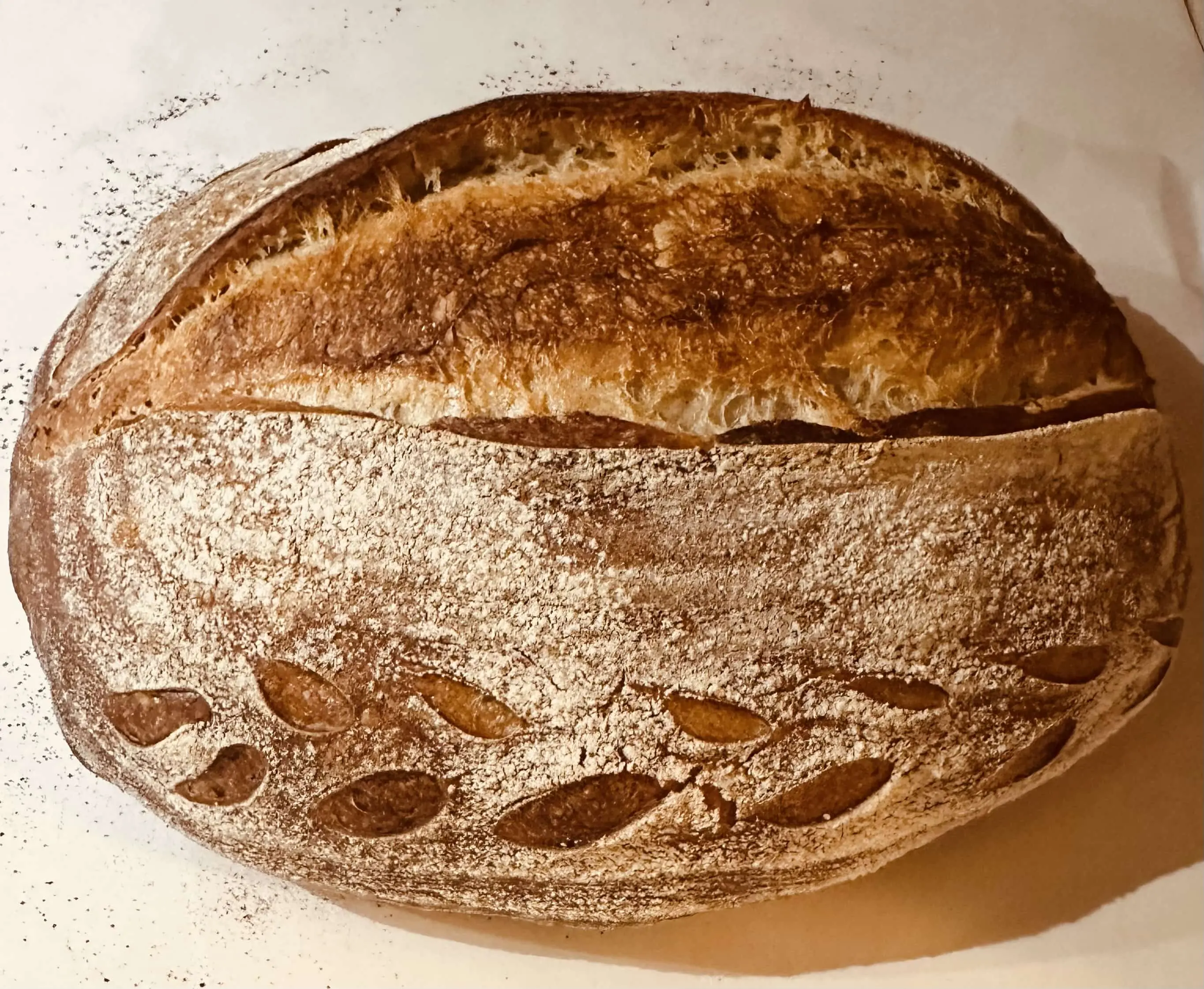 The sourdough mother loaf.