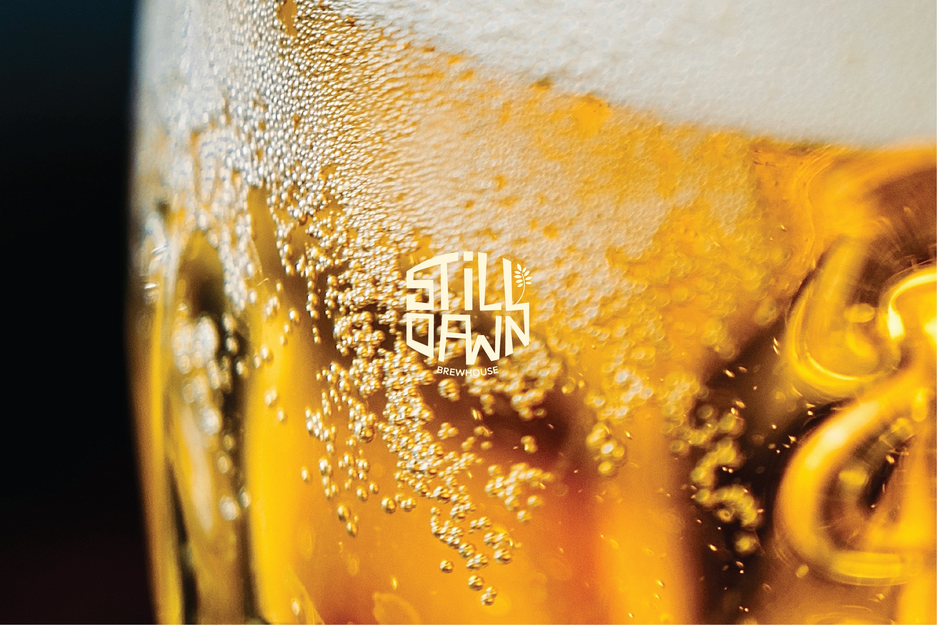 Close-up of golden beer bubbles and foam with the white Still Dawn Brewhouse wordmark.