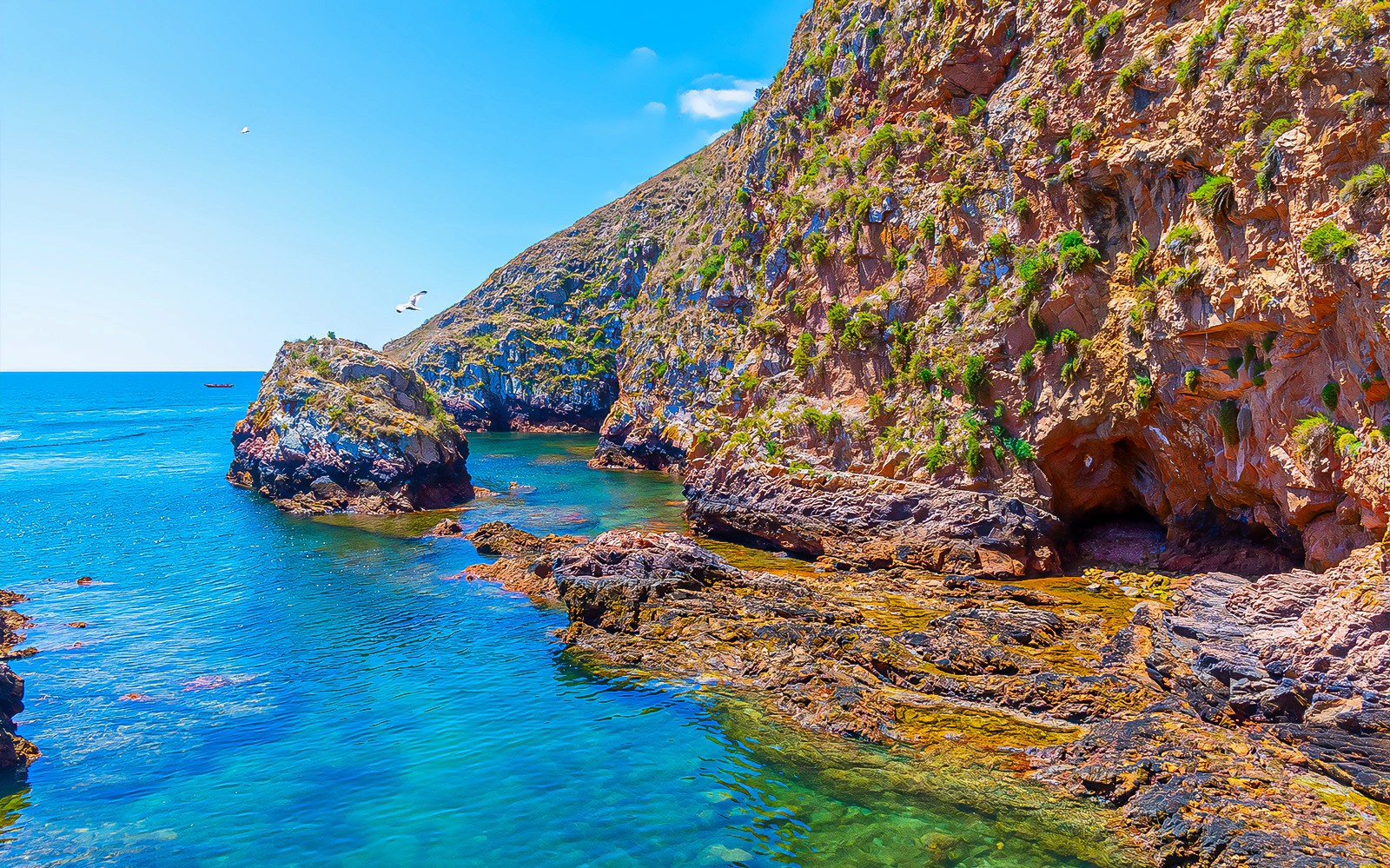 Costa rocosa de la isla Berlenga Grande con aguas azules y claras, y cuevas, Portugal.
