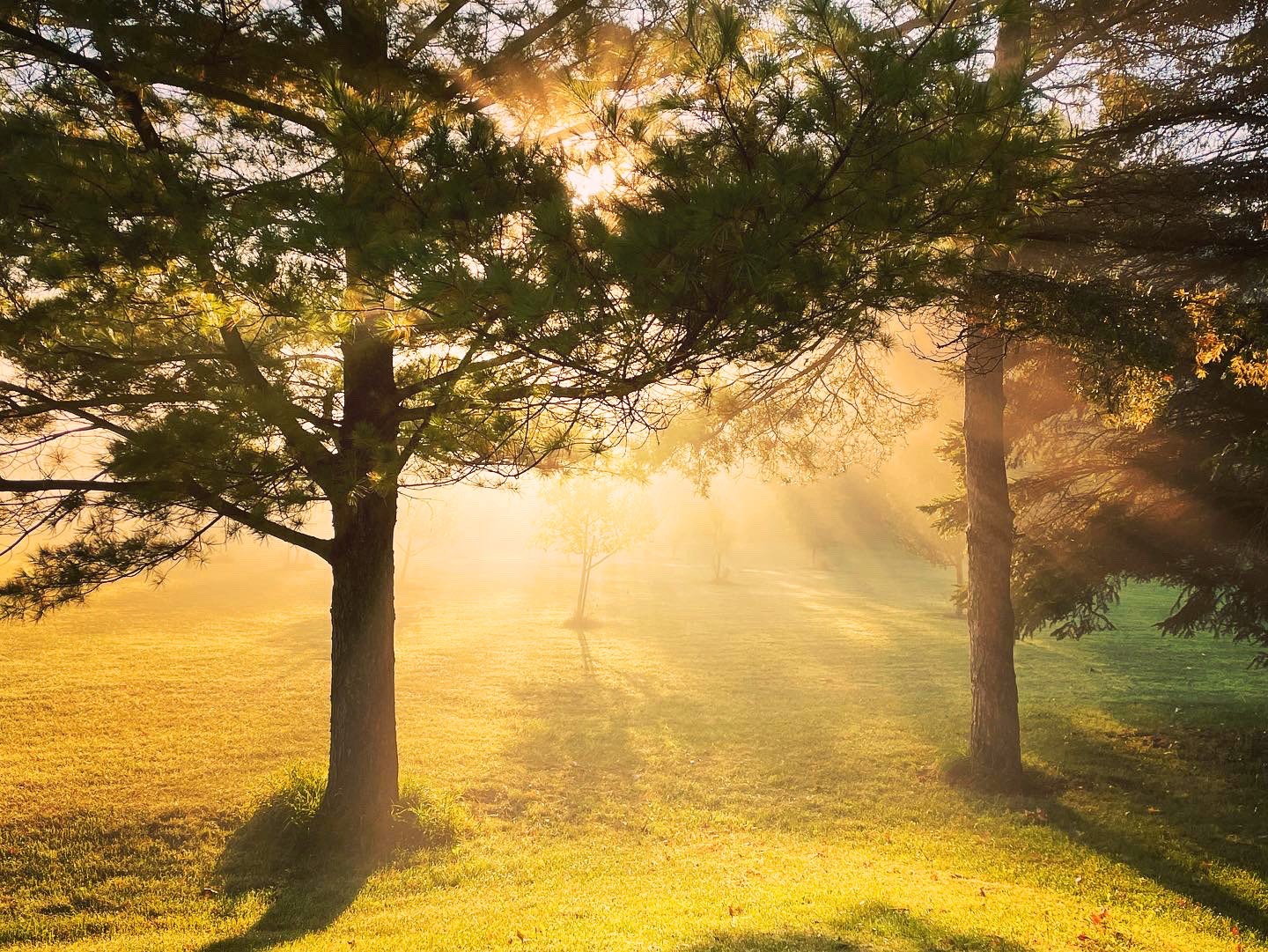 Photo of Zhanna's website