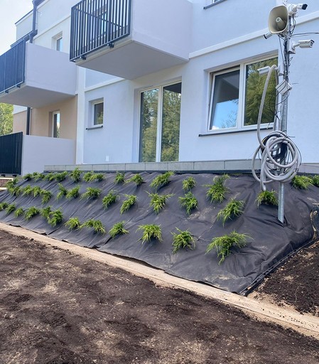 Nowe nasadzenia przy budynku