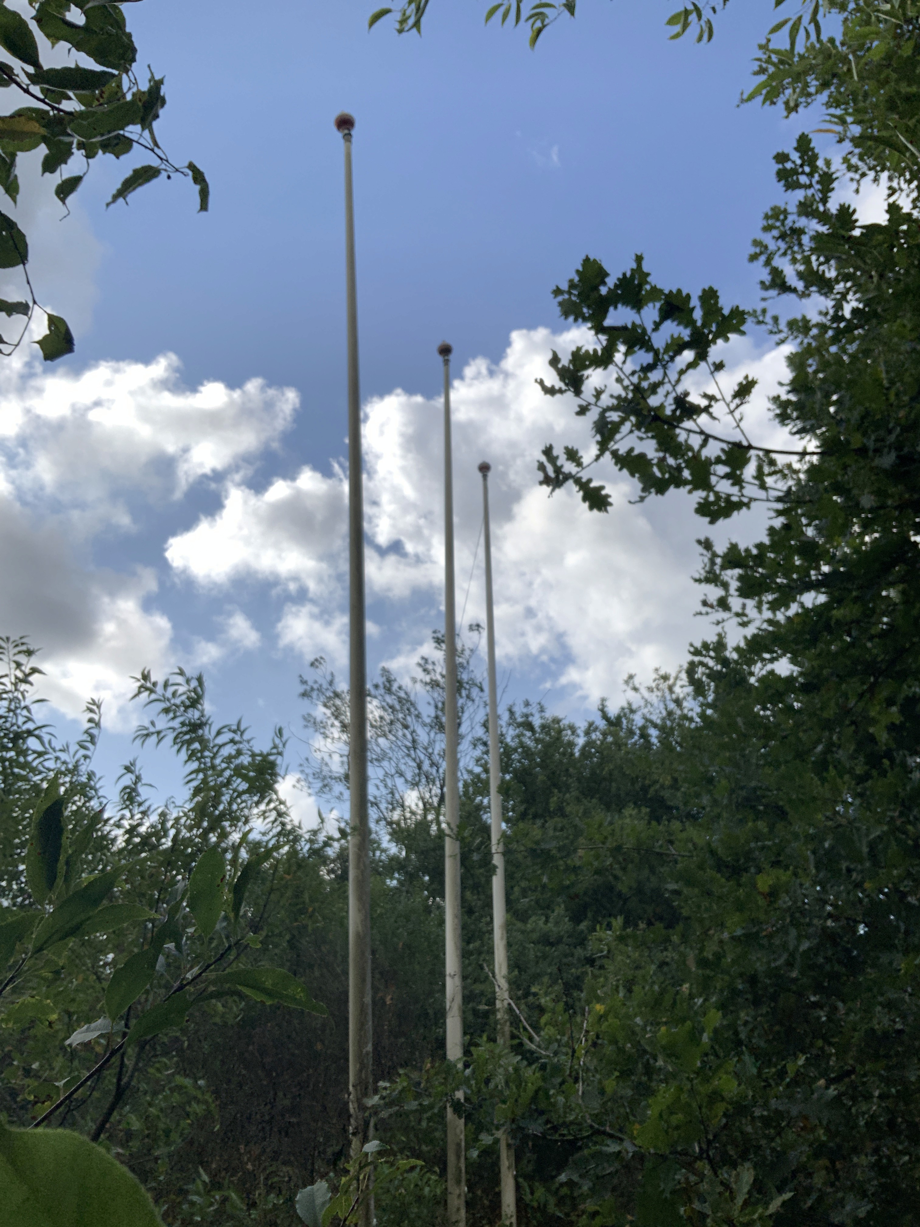 SNEL weg hier, 2025, Heimprofi,  Abandoned flagpoles along the Highway A50, Arnhem, the Netherlands