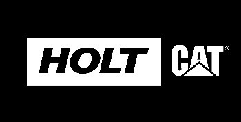 linq partner holt cat