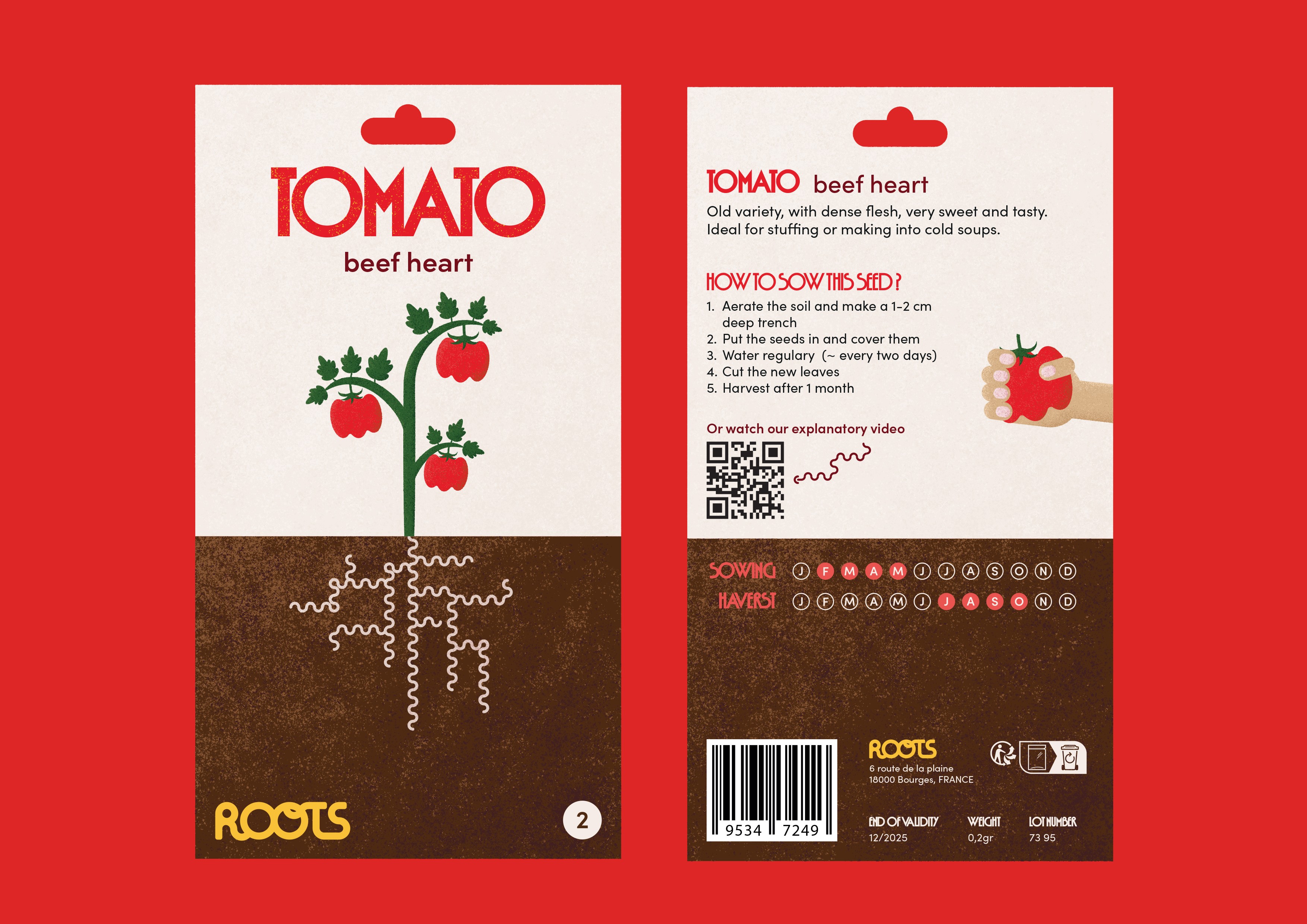Sachet graines de tomate