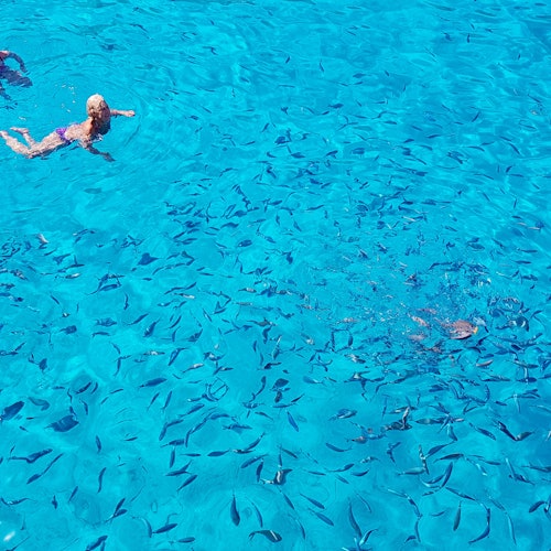 帕爾加、希沃塔與藍色潟湖：從科孚出發的全天候船遊票