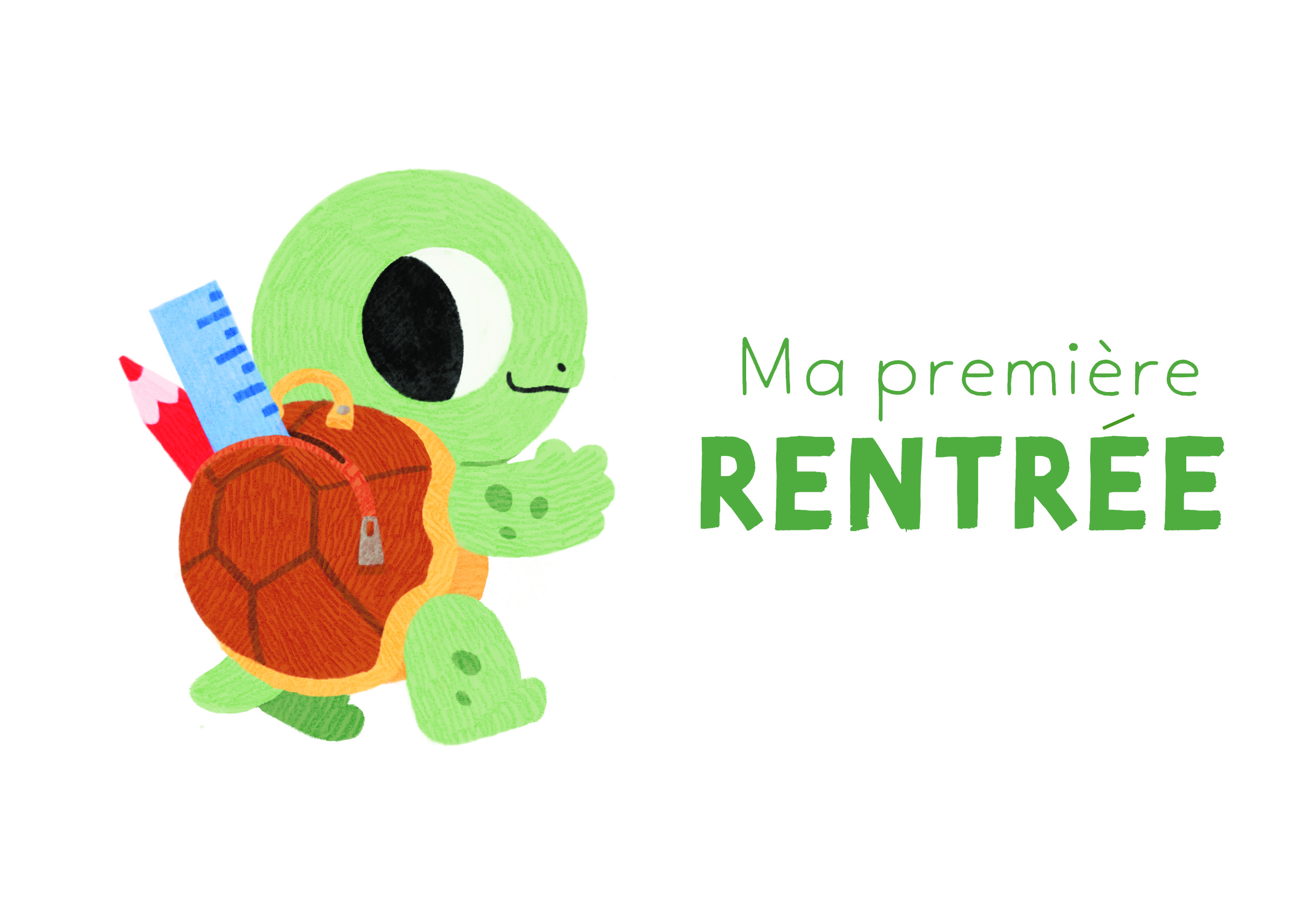 recto carte étape tortue