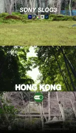 Forest scenes with text overlays