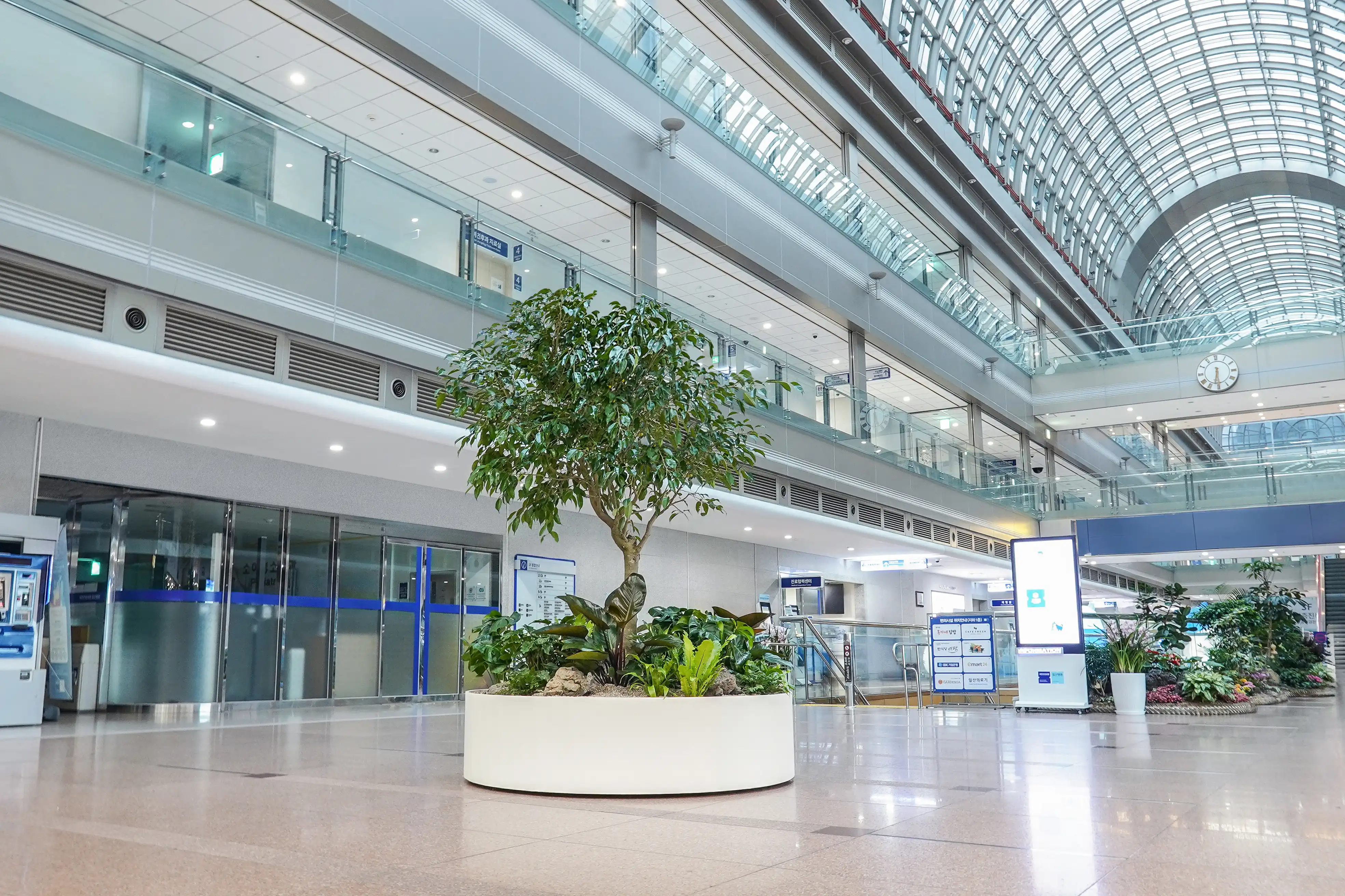 대형 병원에 설치된 실내정원