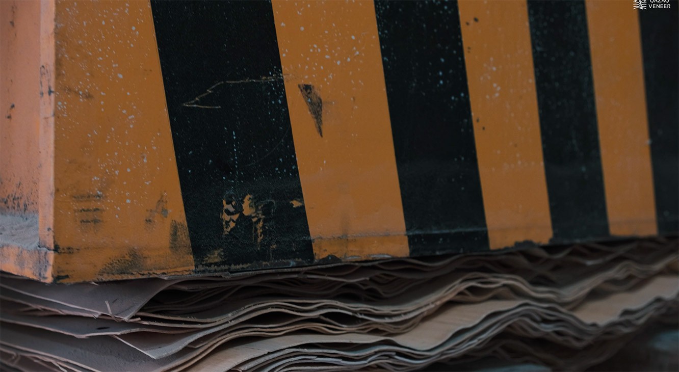 Straugatskii Project