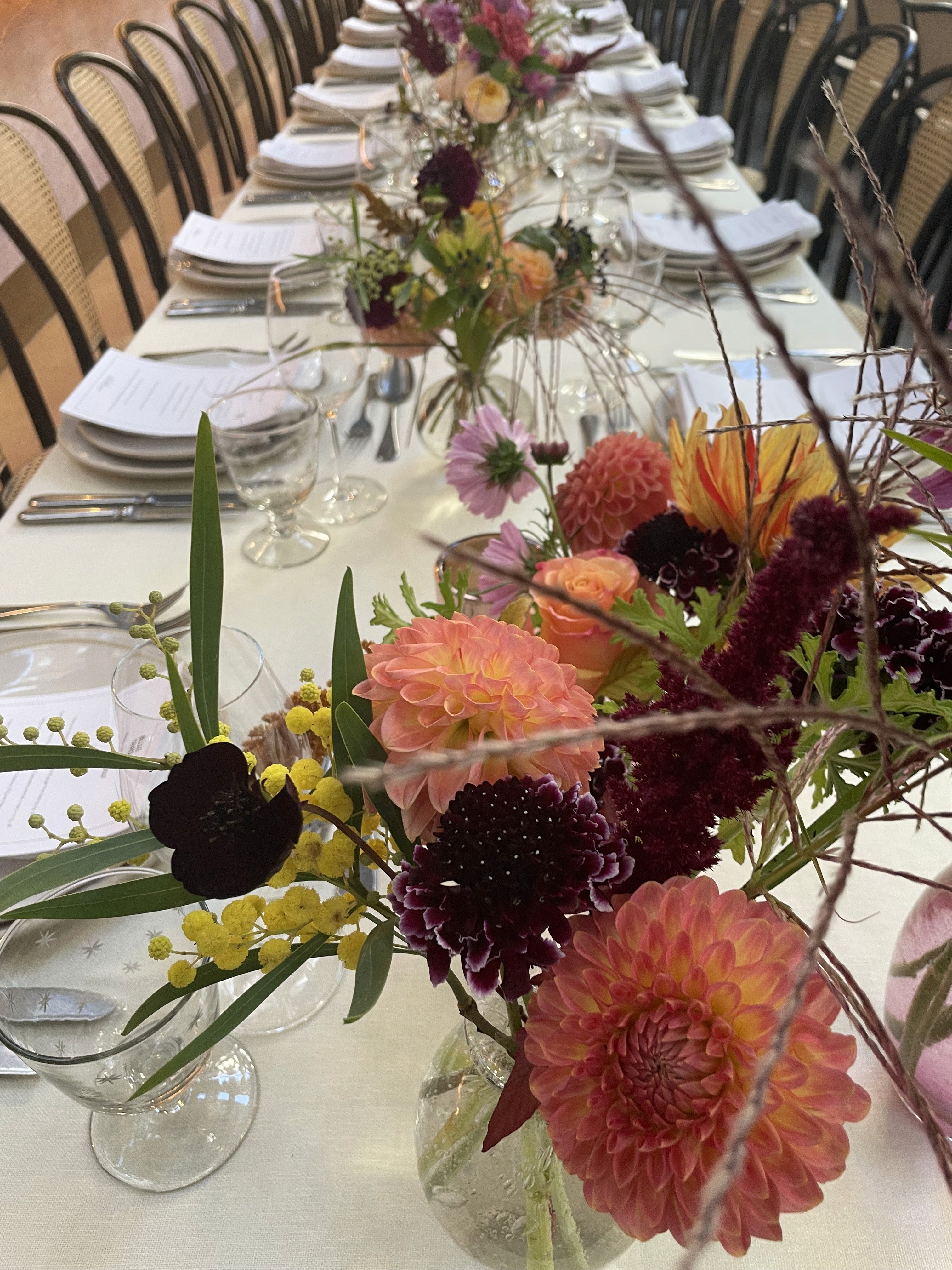 Flora in Kitchen