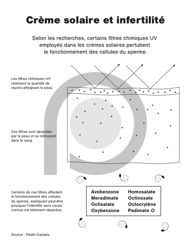 Informational graphic titled 'Crème solaire et infertilité' (Sunscreen and infertility), explaining how certain UV filters in sunscreens may affect sperm cell function. Includes a diagram of sunscreen on skin showing absorption and a list of chemical filters: Avobenzone, Meradimate, Octisalate, Oxybenzone, Homosalate, Octinoxate, Octocrylene, and Padimate O. Source: Radio-Canada.
