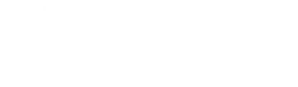 TikTok icon