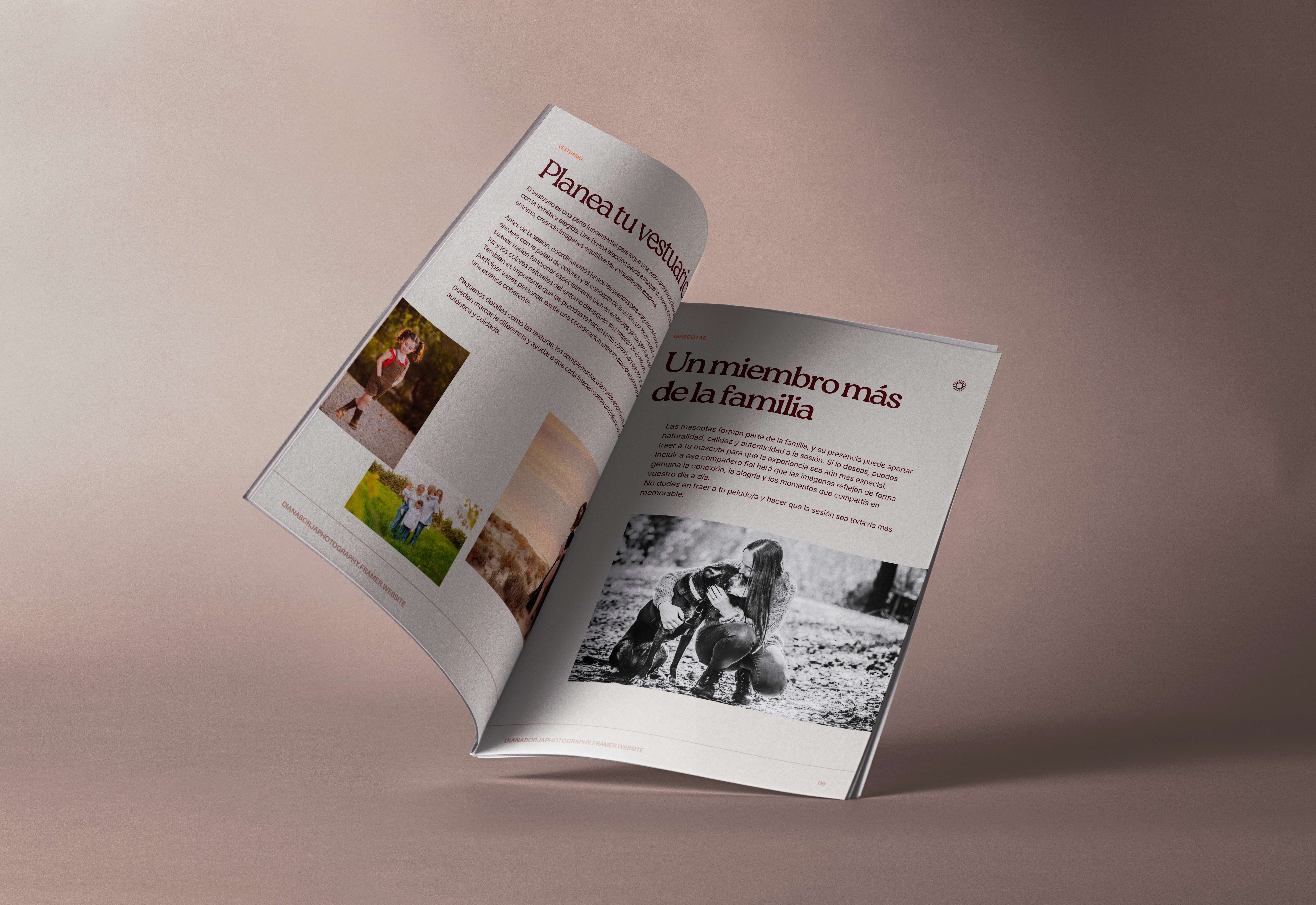 Project Diana Borja Photography. Magazine / PDF