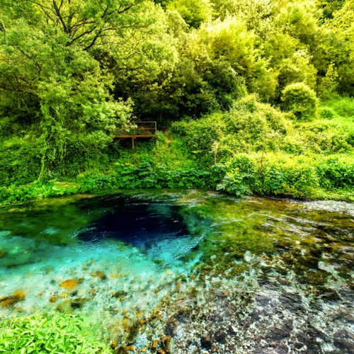 薩蘭達與布特林特國家公園：從科孚島出發的導覽一日遊 + 科孚島午餐票