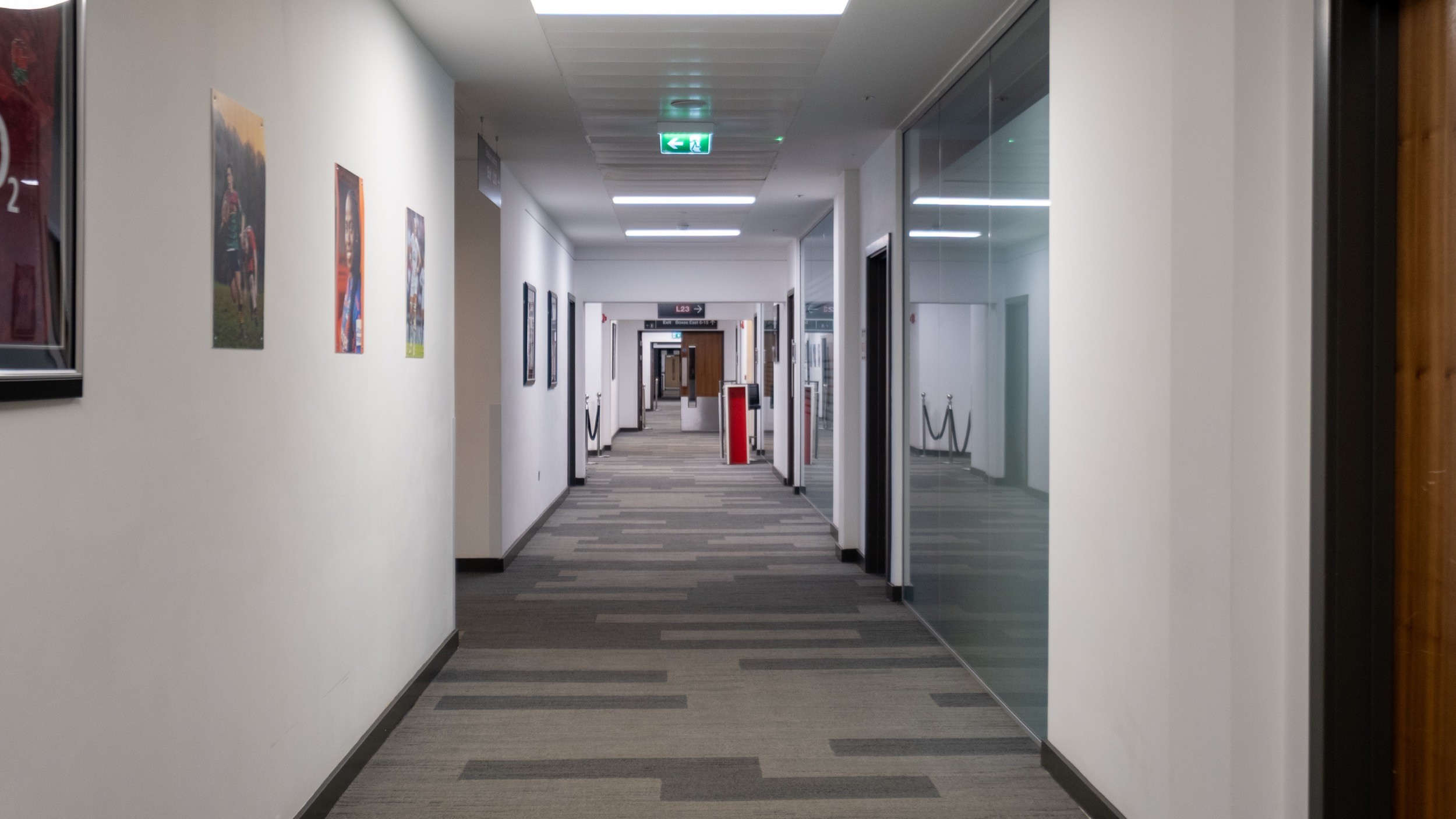 Two classic volkswagen beetles, one green, one cream.