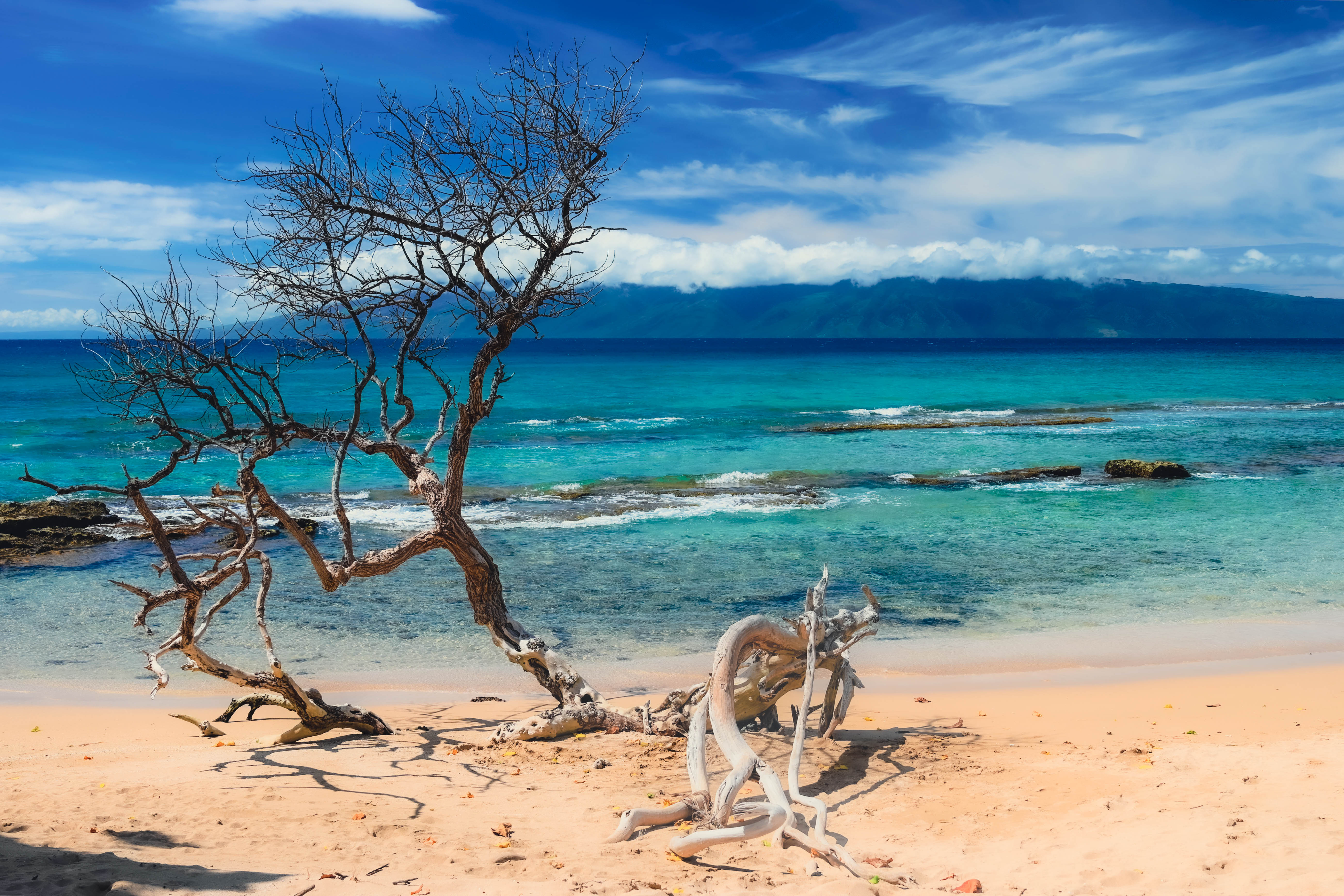 Maui Beaches